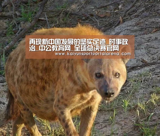 LOL世界赛官网