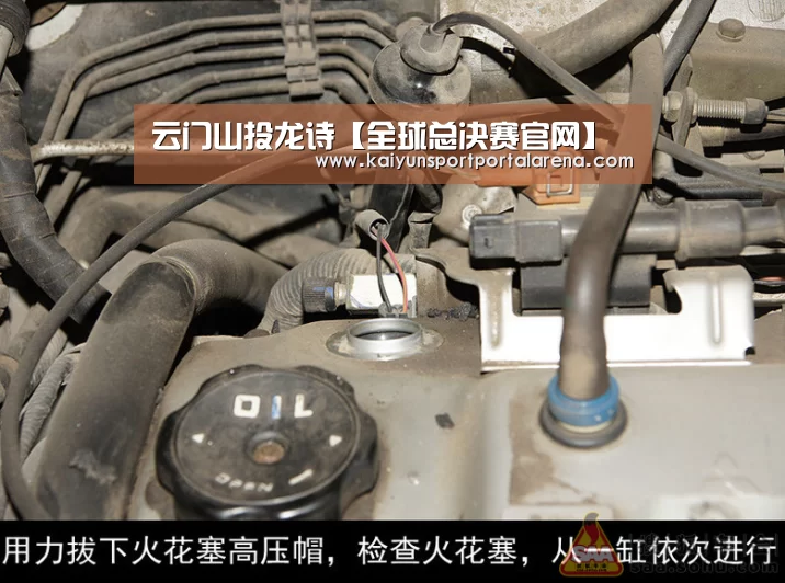 LOL世界赛官网