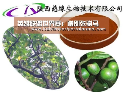 英雄联盟世界赛