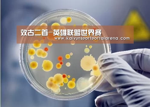 效古二首-英雄联盟世界赛(图2) 全球总决赛官网